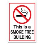 This is a Smoke Free Building -Decal